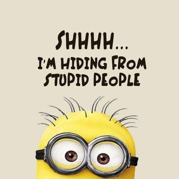 Meet your Posher, Nicholas - Picture 1 of 1